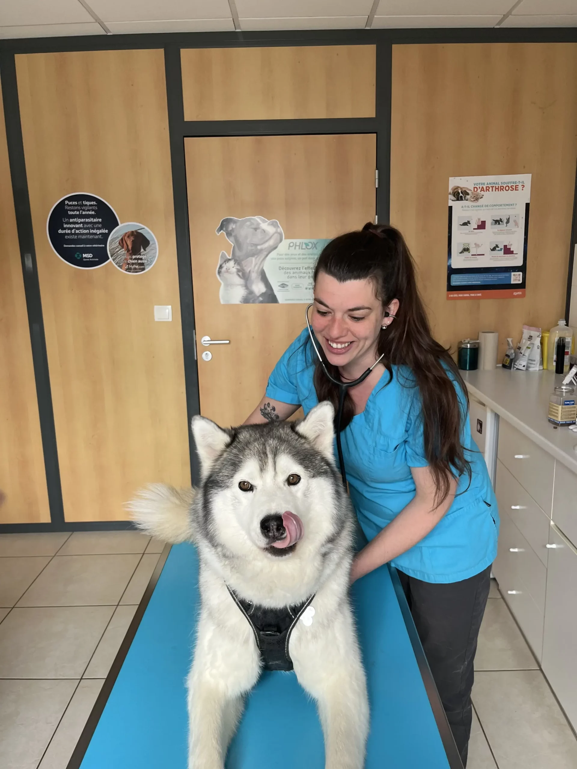 salle de consultation chien