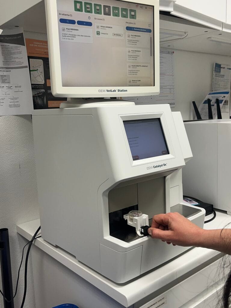 Analyses sanguines, urinaires et dermatologiques vétérinaires